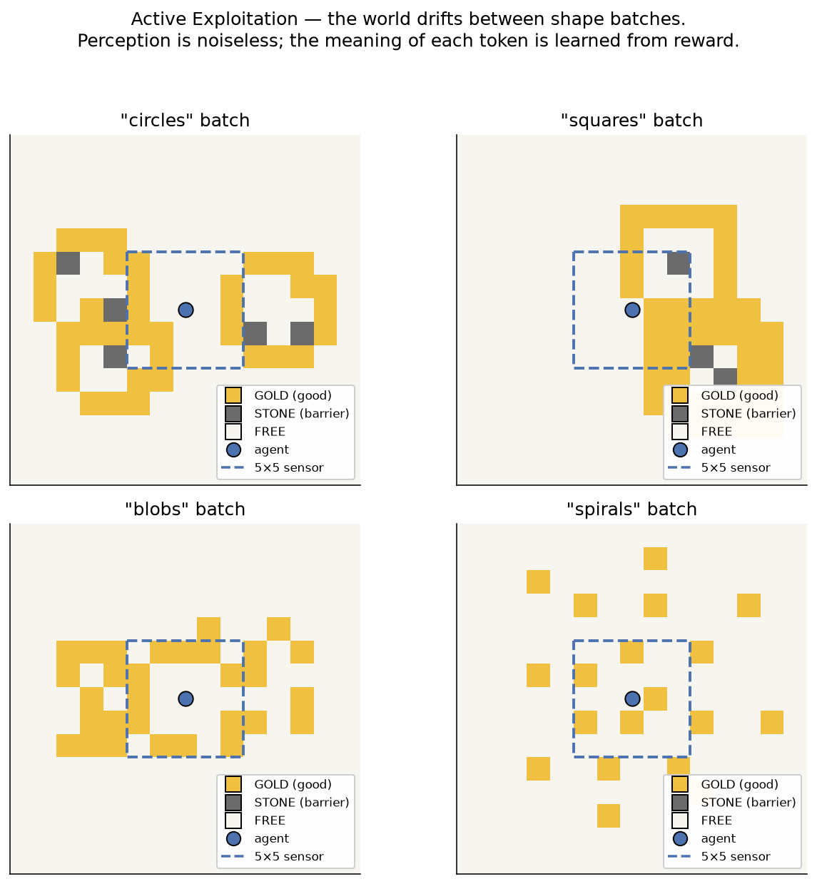 The four shape batches the world drifts between — circles, squares,
blobs, spirals. Perception is noiseless: the agent reads the raw token
at every cell in its 5×5 window (dashed blue square). But the meaning
of each token (GOLD is reward, STONE is a barrier) is not given — it
is learned from reward. The shape of the world drifts from one batch
to the next; the meaning of the tokens does
not.