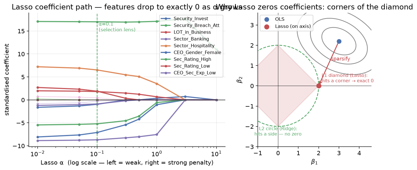Left: the Lasso coefficient path — lines for each feature dropping to exactly zero as alpha grows, with five labelled survivors. Right: a geometric schematic where a red L1 diamond touches a grey RSS contour at a corner on the beta-1 axis, forcing beta-2 to zero.