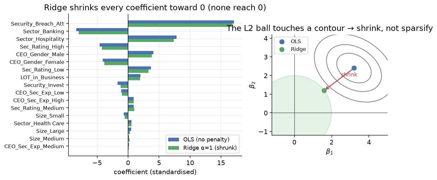Left: paired bar chart of OLS versus Ridge coefficients — every Ridge bar is shorter, none are zero. Right: a geometric schematic where a green L2 circle centred at the origin touches a grey RSS contour; the Ridge solution sits at the tangent point, shrunk from the OLS point.